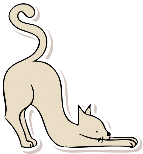 Grafik Katze